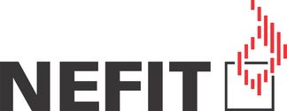 Logo Nefit